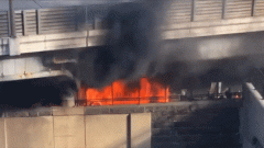 全靠自己种植或者捕捞